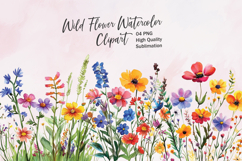 Wildflower Clusters - watercolor flowers borders PNG Product Image 1