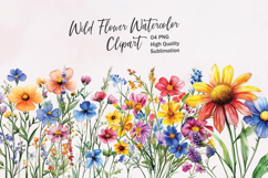 Wildflower Clusters - watercolor flowers borders PNG Product Image 1