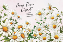 Daisy flower watercolor clipart sublimation Product Image 1