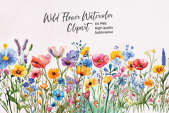 Wildflower Clusters - watercolor flowers borders PNG Product Image 1