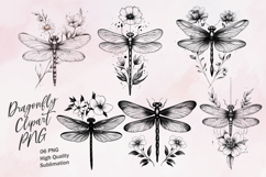 Dragonfly black and white outline clipart sublimation Product Image 1