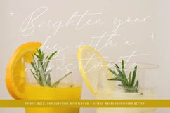 Modesta Outlook - Stylish Handwritten Font Product Image 5