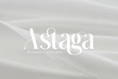 Moebngaders | A Bautiful Modern Vintage Serif Font Product Image 2