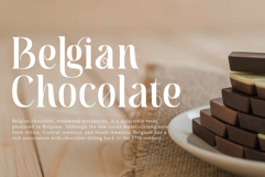 Moebngaders | A Bautiful Modern Vintage Serif Font Product Image 3