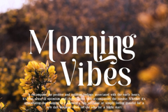 Moebngaders | A Bautiful Modern Vintage Serif Font Product Image 5
