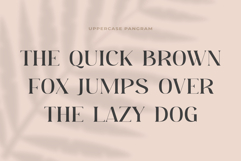 Moebngaders | A Bautiful Modern Vintage Serif Font Product Image 8
