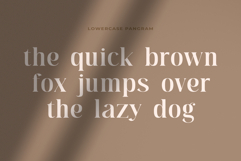 Moebngaders | A Bautiful Modern Vintage Serif Font Product Image 9