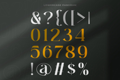 Moebngaders | A Bautiful Modern Vintage Serif Font Product Image 10