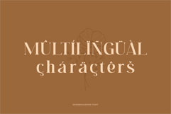 Moebngaders | A Bautiful Modern Vintage Serif Font Product Image 11