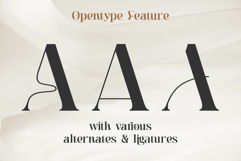 Moebngaders | A Bautiful Modern Vintage Serif Font Product Image 12