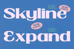 Mofiwe Sans - Expressive Display Sans Product Image 8