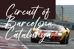 Mogary Overlay - Bold Calligraphy Font Product Image 9