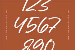 Mogary Overlay - Bold Calligraphy Font Product Image 14