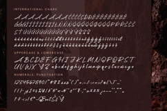 Mogary Overlay - Bold Calligraphy Font Product Image 18