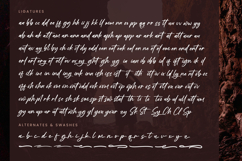 Mogary Overlay - Bold Calligraphy Font Product Image 19