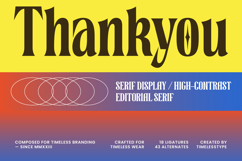 Mognakin Serif Display Font Product Image 15