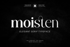 Moisten Family Font Product Image 1