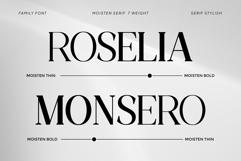 Moisten Family Font Product Image 5