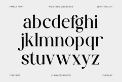 Moisten Family Font Product Image 8