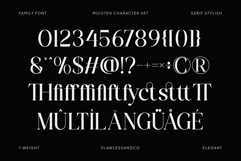 Moisten Family Font Product Image 9