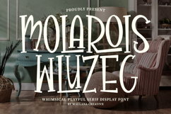 Molarois Wluzeg Whimsical Playful Serif Display Product Image 1