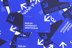 Molia - Sans Serif Font Product Image 12