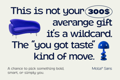 Molia - Sans Serif Font Product Image 2