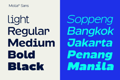Molia - Sans Serif Font Product Image 6