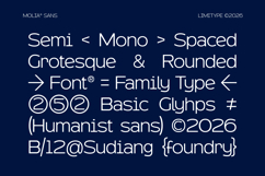 Molia - Sans Serif Font Product Image 7