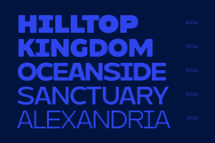 Molia - Sans Serif Font Product Image 8