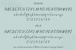Molokai Sans - Regular &amp; Italic Product Image 10