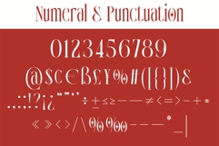 AT MONARCH - Experimental Serif Product Image 5