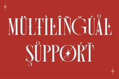 AT MONARCH - Experimental Serif Product Image 12