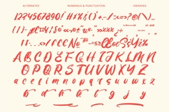 Monday Chitrus - Bold Handwritten Product Image 19