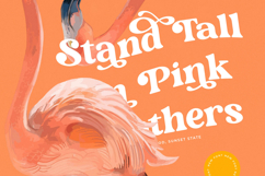 Monday Funky - Modern Serif Font Product Image 6