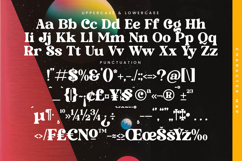 Monday Funky - Modern Serif Font Product Image 18