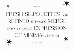 Monelos || modern serif Product Image 2
