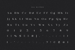 Monelos || modern serif Product Image 9