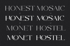 Monelos || modern serif Product Image 10