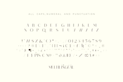 Monic - Modern Ligature Font Product Image 11
