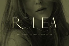 Monic - Modern Ligature Font Product Image 2