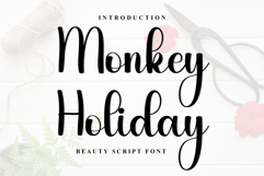 Monkey Holiday Product Image 1