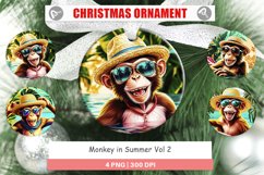 Christmas Ornaments Monkey in Summer Product Image 1