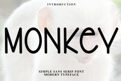 Monkey Product Image 1