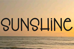 Monkey Product Image 6