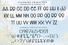 Monkey Product Image 4