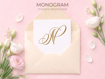 N Monogram Logo, Elegant Initial Monogram Product Image 5