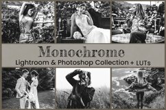 Monochrome Lightroom Presets Mobile Photoshop Actions LUT Product Image 1