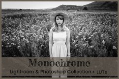 Monochrome Lightroom Presets Mobile Photoshop Actions LUT Product Image 10