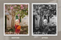 Monochrome Lightroom Presets Mobile Photoshop Actions LUT Product Image 7